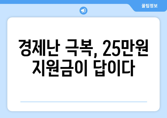 이재명의 25만원 민생 회복 지원금: 차리리보다 나은 선택