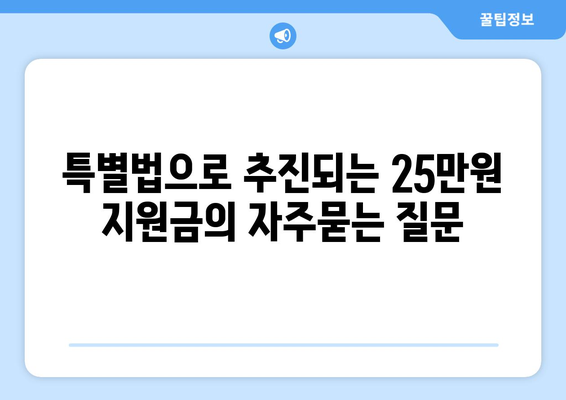 특별법으로 추진되는 25만원 지원금