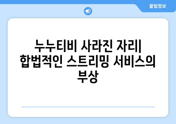 누누티비가 없어진 이유