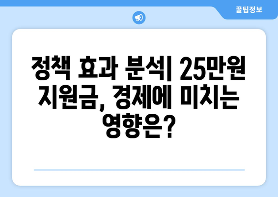 25만원 민생 지원금, 경제에 미치는 영향