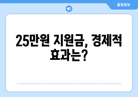 25만원 지원금: 일상적 경제적 지원이 될 것인가?