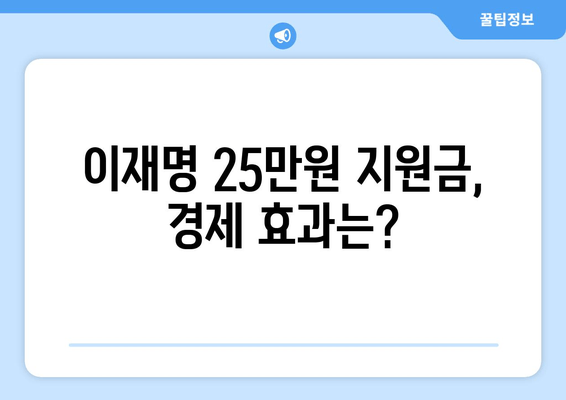 이재명 25만원 민생 지원금