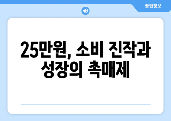 민생 회복을 촉진하는 25만원 지원금: 밝은 미래를 위한 투자