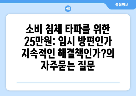 소비 침체 타파를 위한 25만원: 임시 방편인가 지속적인 해결책인가?