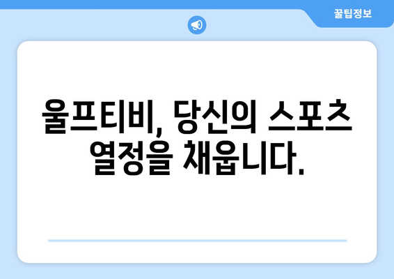 해외 스포츠 중계 제왕: 울프티비