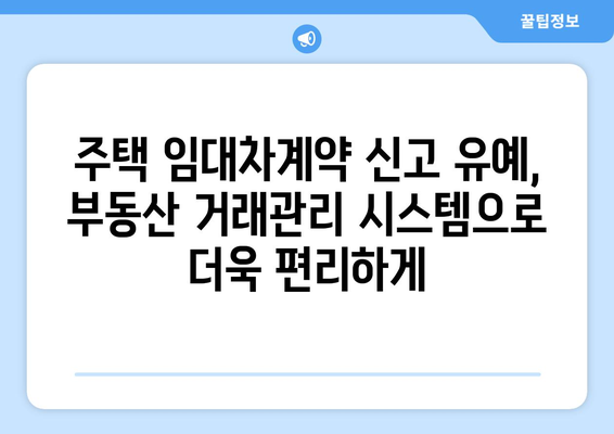 주택 임대차계약 신고 유예기간 연장: 부동산 거래관리 시스템 활용