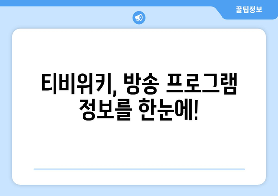 티비위키가 제공하는 보안 기능과 프로그램 편성표