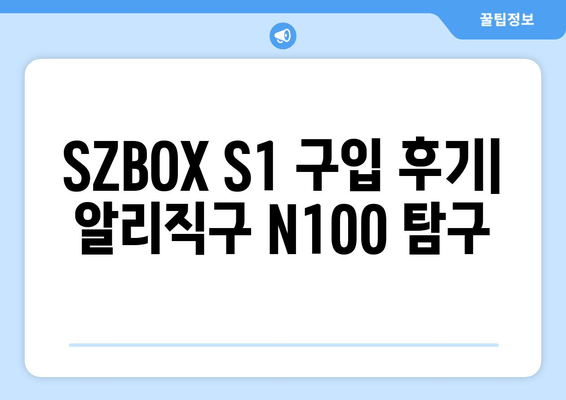 SZBOX S1 구입기 알리직구 N100 알아보기