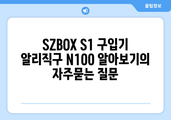 SZBOX S1 구입기 알리직구 N100 알아보기