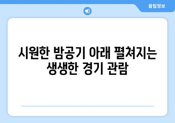 합정단체모임 술집 합정역 루프탑 대형티비에서 스포츠 중계