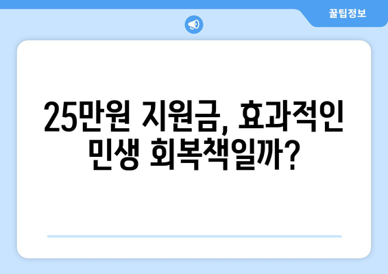 1인 시위로 반대하는 25만원 민생 회복 지원금