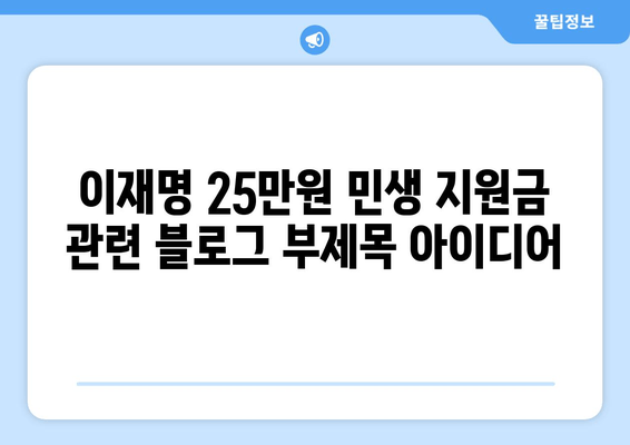 이재명 25만원 민생 지원금