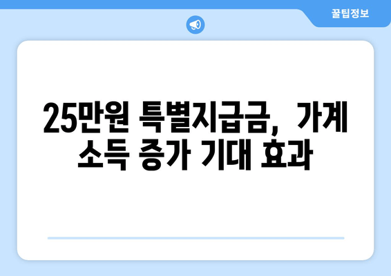 25만원 특별지급금: 가계 소득 증가에 기여