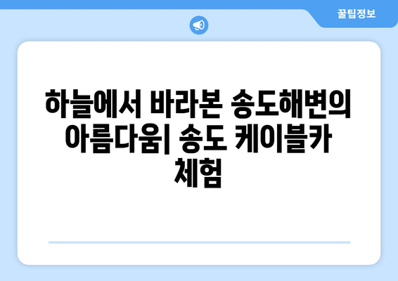 부산 송도 케이블카 및 감천마을 정보