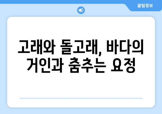 고래동물 학회: 고래와 돌고래에 대한 모든 정보