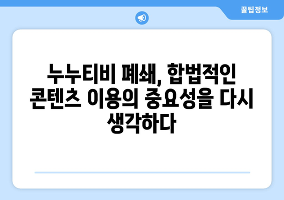 누누티비 서비스 종료의 원인 알아보기