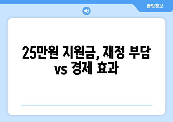 25만원 지원금: 경제적 지원인가, 정치적 수단인가?