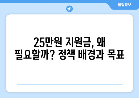 특별법으로 추진되는 25만원 지원금