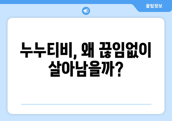 누누티비의 영원한 생존: 해결책 탐구