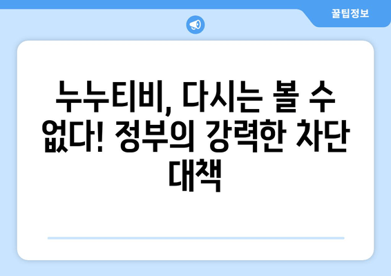 정부의 누누티비 재발 방지 대책: 우회 유통 차단