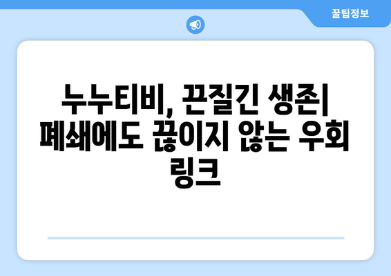 누누티비 우회 링크: 폐쇄에도 끈질긴 생존력