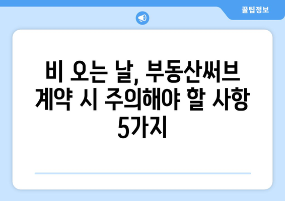 비가 오는 날의 중개사 고민: 부동산써브 계약 주의점