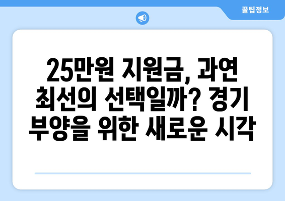 25만 원 지원금 대안: 경기 부양을 위한 제안