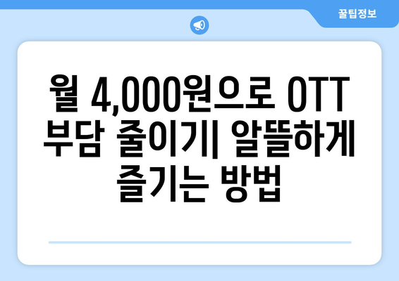 한 달에 4,000원으로 OTT를 대체할 수 있는 곳