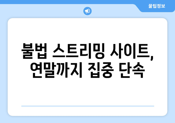 연말까지 집중 단속: 제2의 누누티비 방지