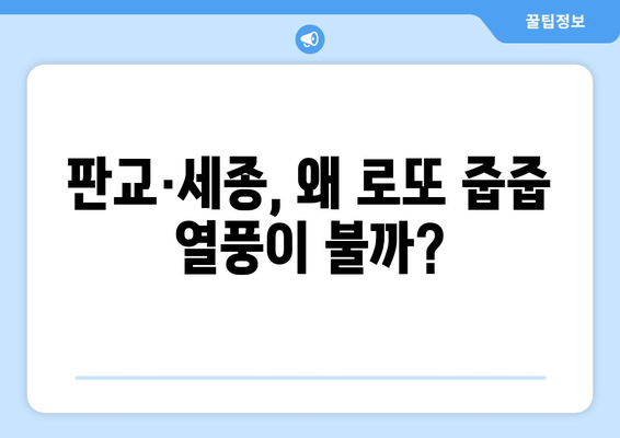 부동산 투자의 새로운 트렌드: 판교·세종 로또 줍줍 열풍 분석