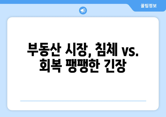 부동산 가격 상승의 심리학: 정부 대책 발표 후 시장 반응