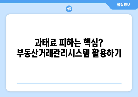 과태료 발생 방지: 부동산거래관리시스템을 통한 정확한 신고