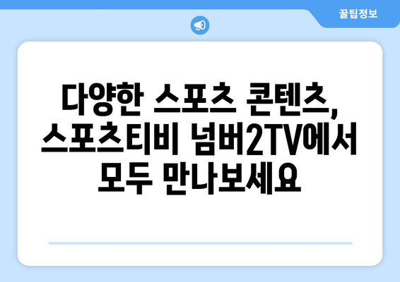 스포츠 중계 속의 독보적인 존재: 스포츠티비 넘버2TV