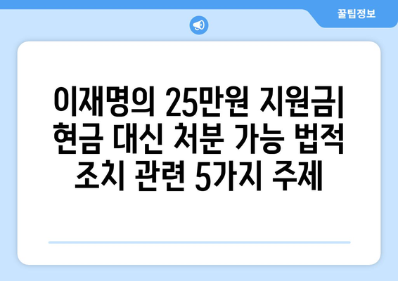 이재명의 25만원 지원금: 현금 대신 처분 가능 법적 조치