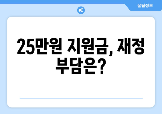 민생회복지원금 25만원 발행 가능성