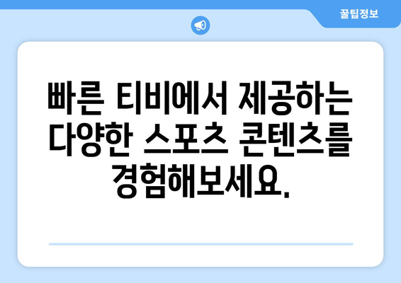 빠른 티비: 모든 스포츠를 한 곳에서 즐기기