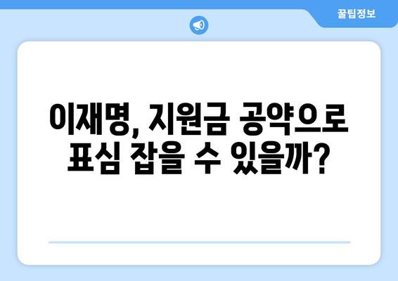 이재명 25만원 지원금, 선거 대응 논란