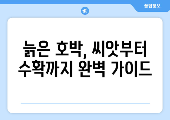 늙은 호박 재배, 보관, 가공