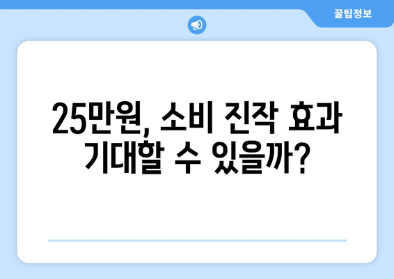 25만원 특별지급금으로 경제 회복 지원하기