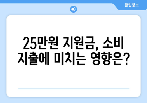 25만원 지원금과 관련된 경제적 영향 분석