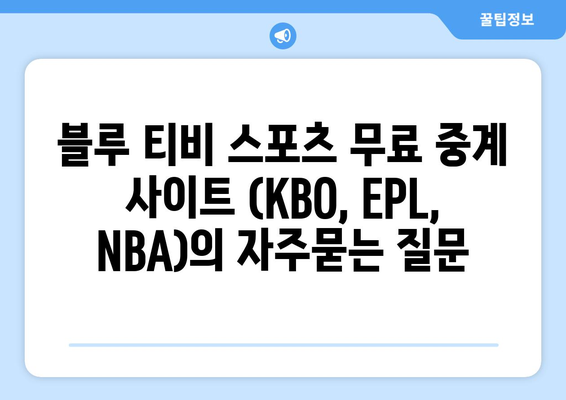 블루 티비 스포츠 무료 중계 사이트 (KBO, EPL, NBA)