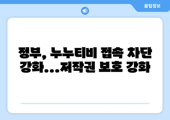 누누티비 재생 방지: 정부의 불법 정보 유통 차단 추진