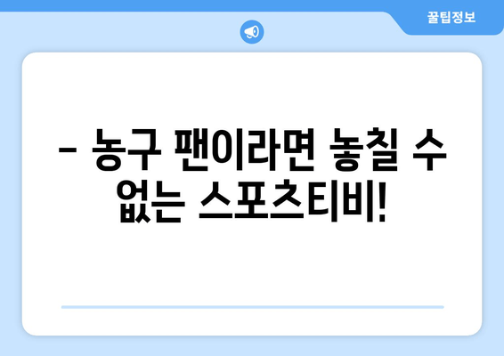 스포츠티비: 농구에 대한 당신의 열정을 불태우는 곳