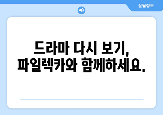 파일렉카에서 무료로 드라마 다시 보기