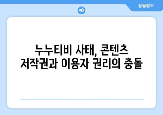 스트라이샌드 효과의 대표 사례: 누누티비