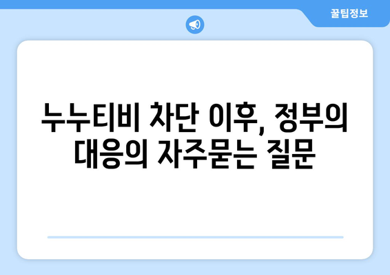 누누티비 차단 이후, 정부의 대응