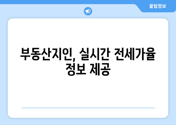 부동산지인을 통한 전세가율 확인 방법