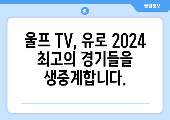 유로 2024 중계: 모바일, 해외 스포츠, 울프 TV