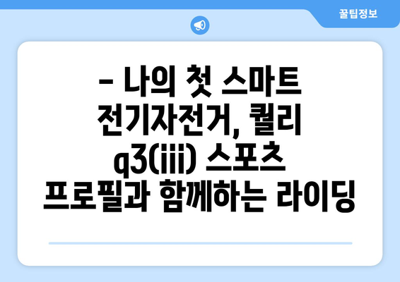 퀄리 q3(iii) 스포츠 프로필 사양: 내 첫 스마트 전기자전거