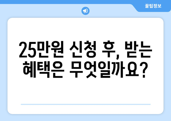 단계별로 알아보는 25만원 카카오톡 신청 과정